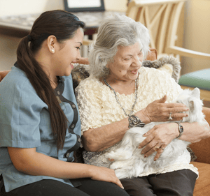 Woman-and-staff-with-cat