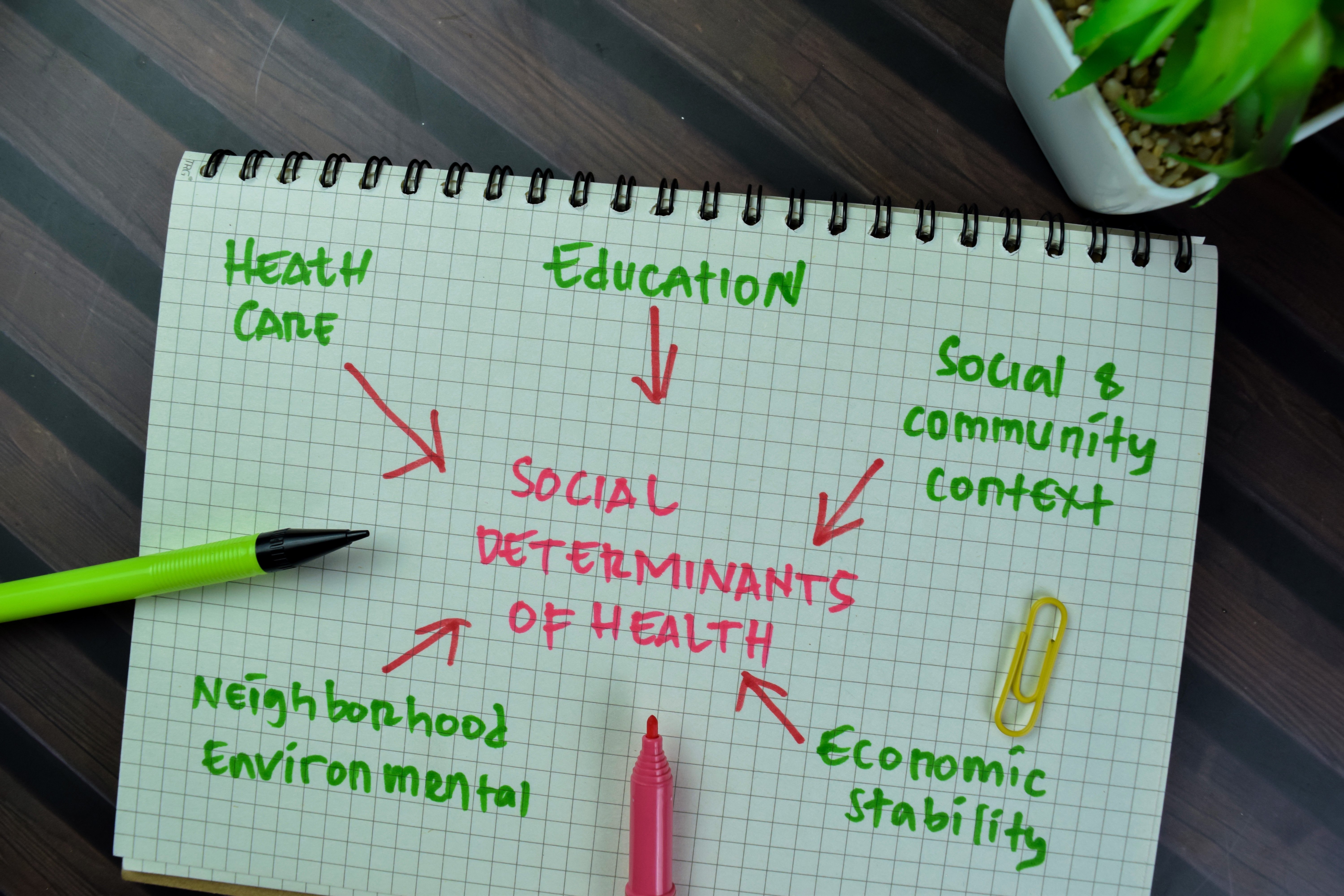 Social Determinants of Health photo